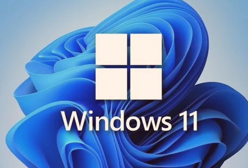 ô{(dio)win11@ʾֱ{(dio)win11@ʾֱʲ